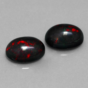 Achetez naturel ct multicolore opale noire gems, coupe ovale, en provenance ethiopie chez gemselect. en stock, livraison internationale!