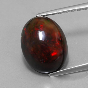 Opale noire multicolore naturelle coupe ovale, 6,26 ct, opaque
