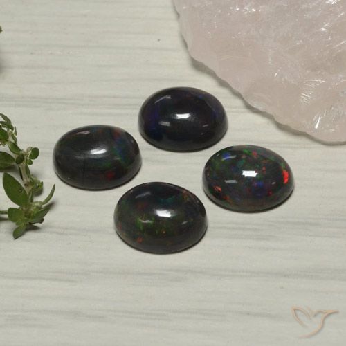 5.55ctw Naturel Multicolore Opale noire, ovale, Translucide