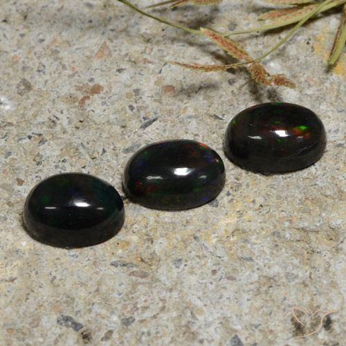 2.84ctw Naturel Multicolore Opale noire, ovale, Translucide
