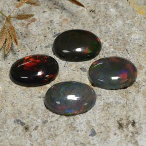 Achetez naturel 3,25ct multicolore opale noire gems, coupe ovale, en provenance ethiopie chez gemselect. en stock, livraison internationale!