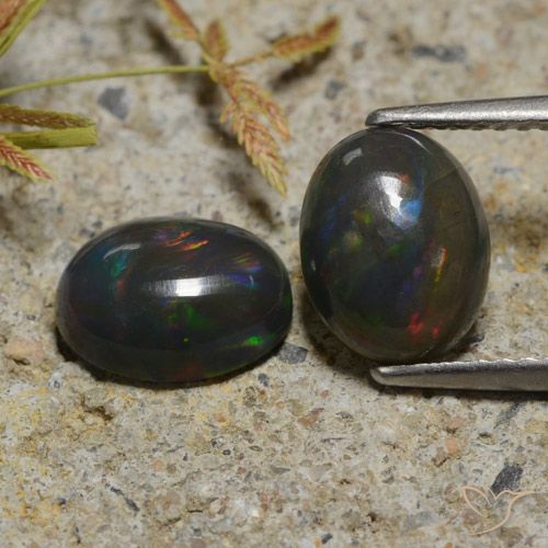 2.30ctw Naturel Multicolore Opale noire, ovale, Translucide