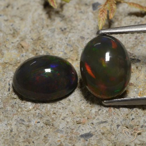2.65ctw Naturel Multicolore Opale noire, ovale, Translucide