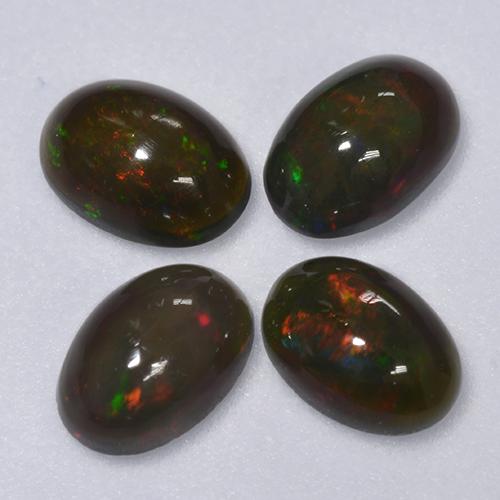Achetez naturel 1.16ct Multicolore Opale noire gems, Coupe ovale, En provenance Ethiopie chez GemSelect. En stock, livraison internationale!