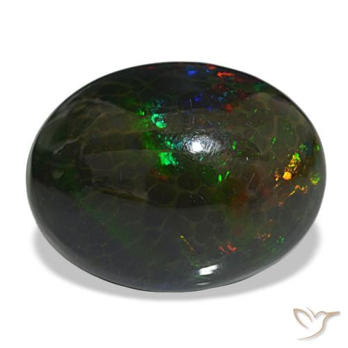 Opale noire multicolore naturelle coupe ovale, 16,29 ct, opaque