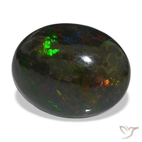 Opale noire multicolore naturelle coupe ovale, 16,29 ct, opaque