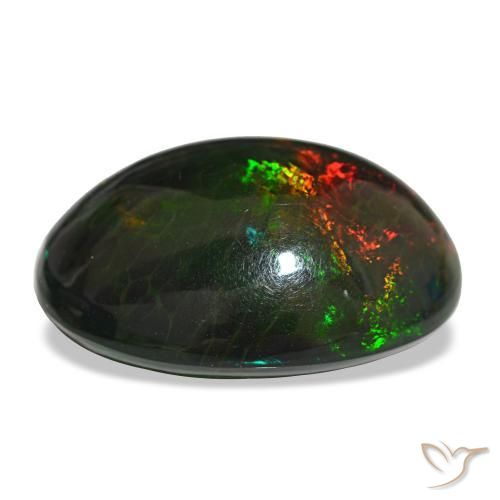 Opale noire multicolore naturelle coupe ovale, 16,29 ct, opaque