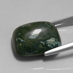Héliotrope vert naturelle coupe coussin, 18,96 ct, opaque