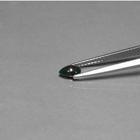 Pierre de sang Vert Tacheté naturelle En forme de poire, 0.27 ct, Opaque