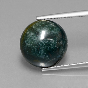 Héliotrope vert naturelle coupe roude, 5,87 ct, opaque