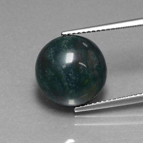 Pierre de sang Vert foncé naturelle Coupe roude, 8.75 ct, Opaque