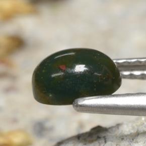 Pierre de sang Vert naturelle Coupe ovale, 0.83 ct, Opaque