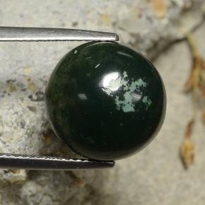 Héliotrope vert naturelle coupe roude, 8,69 ct, opaque