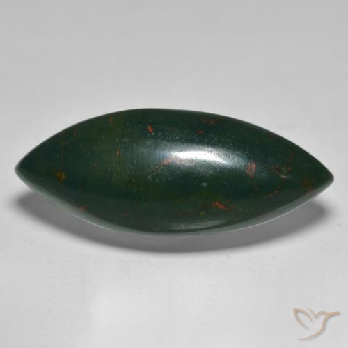 15.61ct Naturel Vert foncé Pierre de sang, Marquise, Opaque