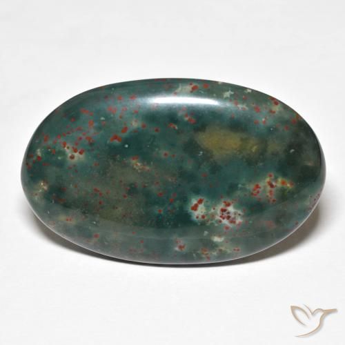 21.79ct Naturel Multicolore Pierre de sang, ovale, Opaque
