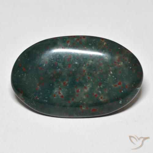 18.31ct Naturel Multicolore Pierre de sang, ovale, Opaque