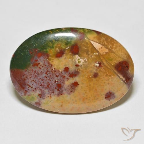 40.37ct Naturel Multicolore Pierre de sang, ovale, Opaque