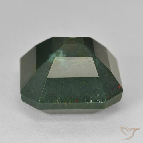 Pierre de sang Forêt verte naturelle Octogone / coupe Émeraude, 17.25 ct, Opaque