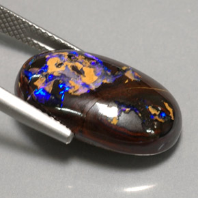 Opale boulder multicolore naturelle coupe ovale, 14,18 ct, opaque