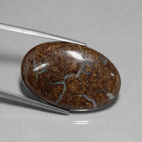 Opale Boulder Multicolore naturelle Coupe ovale, 27.95 ct, Opaque