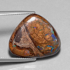 Opale boulder multicolore naturelle trillion, 16,78 ct, opaque