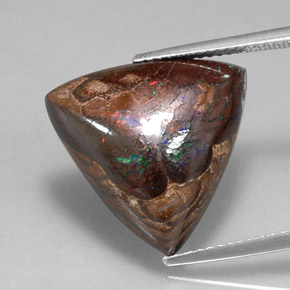 Opale Boulder Multicolore naturelle Trillion, 13.66 ct, Opaque