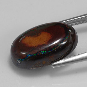 Opale boulder multicolore naturelle coupe ovale, 9,49 ct, opaque