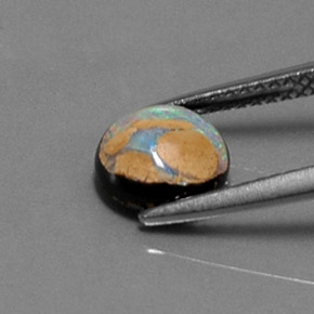 Opale Boulder Multicolore naturelle Coupe roude, 1.54 ct, Opaque