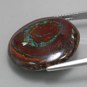 Opale boulder multicolore naturelle coupe roude, 22,76 ct, opaque