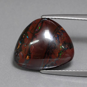 Opale boulder multicolore naturelle trillion, 8,84 ct, opaque