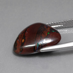 Opale boulder multicolore naturelle trillion, 8,84 ct, opaque
