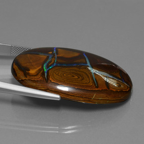 Opale boulder multicolore naturelle coupe ovale, 66,28 ct, opaque