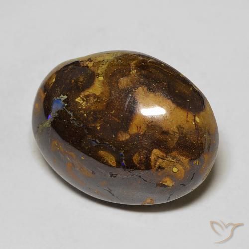 Opale Boulder Multicolore naturelle ovale, 15.66 ct, Opaque