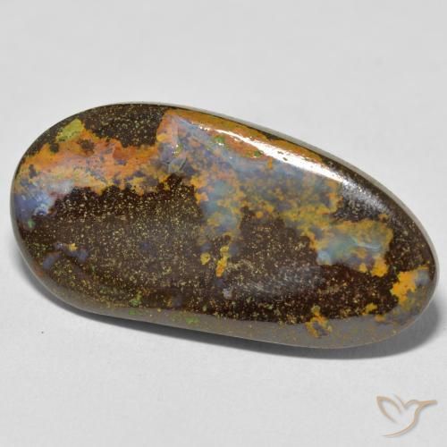 Opale Boulder Multicolore naturelle Fantaisie, 16.59 ct, Opaque