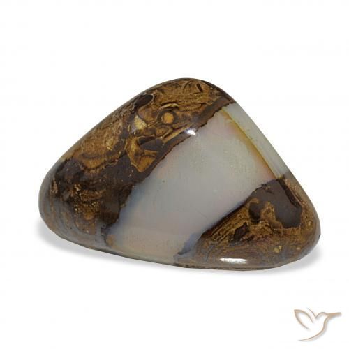 Opale Boulder Multicolore naturelle Trillion, 16.35 ct, Translucide