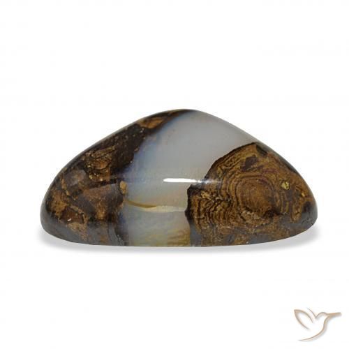 Opale Boulder Multicolore naturelle Trillion, 16.35 ct, Translucide