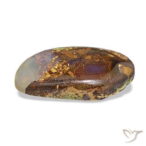 Opale Boulder Multicolore naturelle Forme fantaisie, 6.91 ct, Opaque