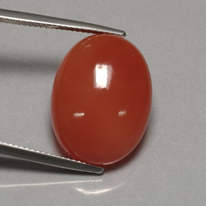 Cornaline orange naturelle transparent, 17,21 ct, transparent / translucide
