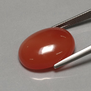 Cornaline orange naturelle transparent, 17,21 ct, transparent / translucide
