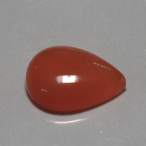 Cornaline Rouge orange naturelle Transparent, 13.63 ct, Transparent / Translucide