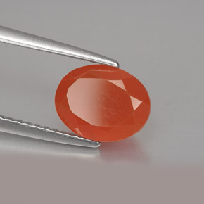 Cornaline Rouge orange naturelle Coupe ovale, 1.54 ct, Translucide