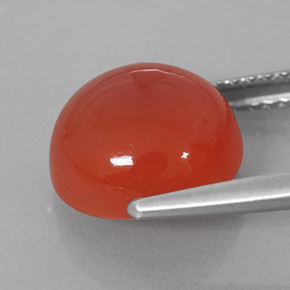 Cornaline Rouge orange naturelle Coupe roude, 3.75 ct, Translucide