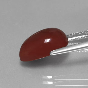 Cornaline orange naturelle transparent, 4,67 ct, transparent / translucide