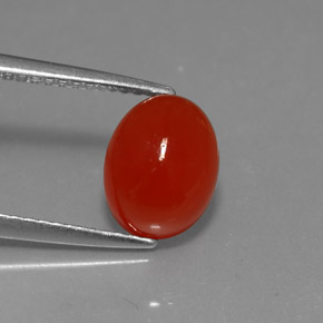 Cornaline Rouge orange naturelle Coupe ovale, 2.36 ct, Translucide