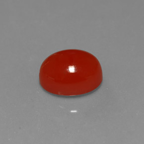 Cornaline Rouge orange naturelle Coupe ovale, 2.36 ct, Translucide