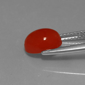 Cornaline Rouge orange naturelle Coupe ovale, 2.36 ct, Translucide