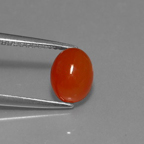 Cornaline rouge orange naturelle coupe ovale, 1,67 ct, translucide