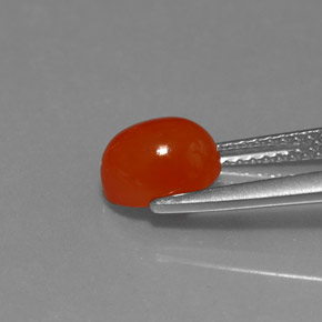 Cornaline rouge orange naturelle coupe ovale, 1,67 ct, translucide