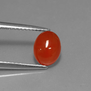 Cornaline Rouge orange naturelle Coupe ovale, 1.56 ct, Translucide