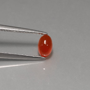 Cornaline Rouge orange naturelle Transparent, 0.57 ct, Transparent / Translucide